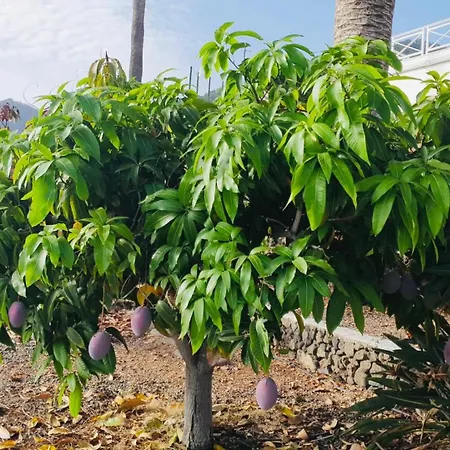 別荘 Rural Jardines La Quinta エル・パソ