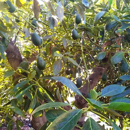 Rural Jardines La Quinta * El Paso